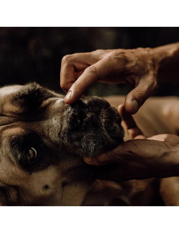 Nellumbo Baume Naturel Truffe - SHOPHORSE